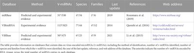 Small non-coding RNAs encoded by RNA viruses: old controversies and new lessons from the COVID-19 pandemic